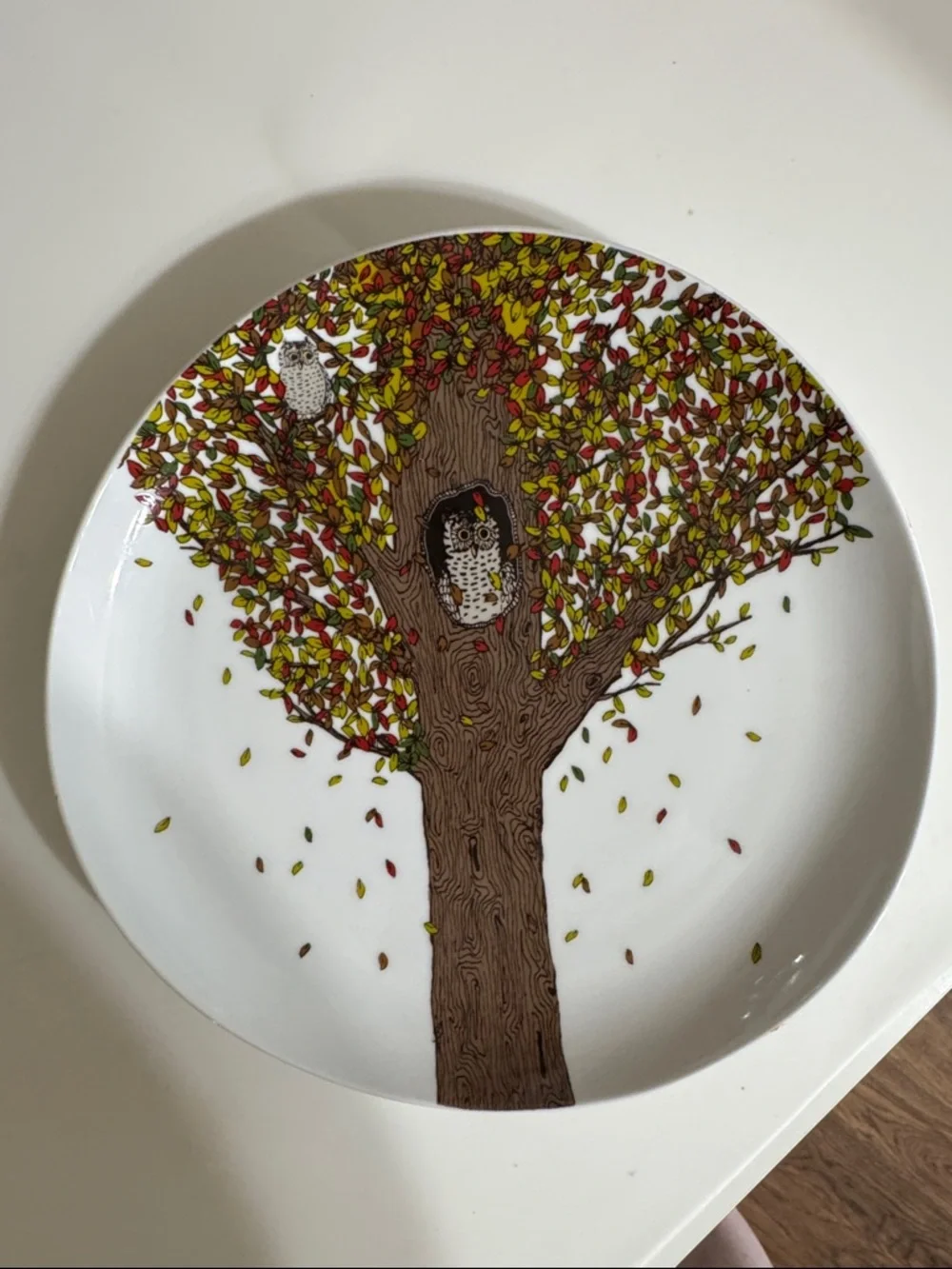 West Elm Whimsical White Ceramic Owl Tree Plate with Brown Trunk